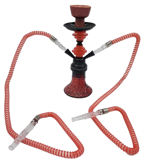 Hookah Shisha 2 Hose 11"