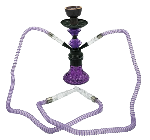 Hookah Shisha 2 Hose 11"